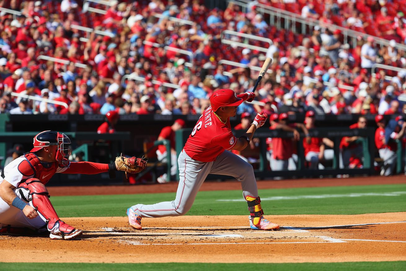 Cincinnati Reds v St. Louis Cardinals