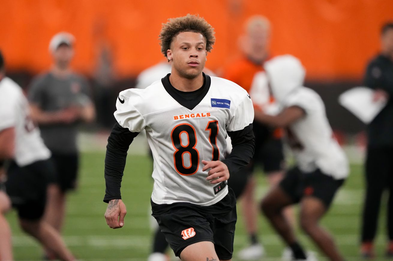 Cincinnati Bengals Mandatory Minicamp