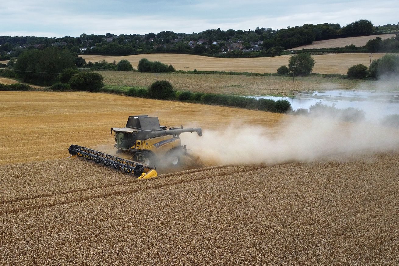 UK Grain Harvest