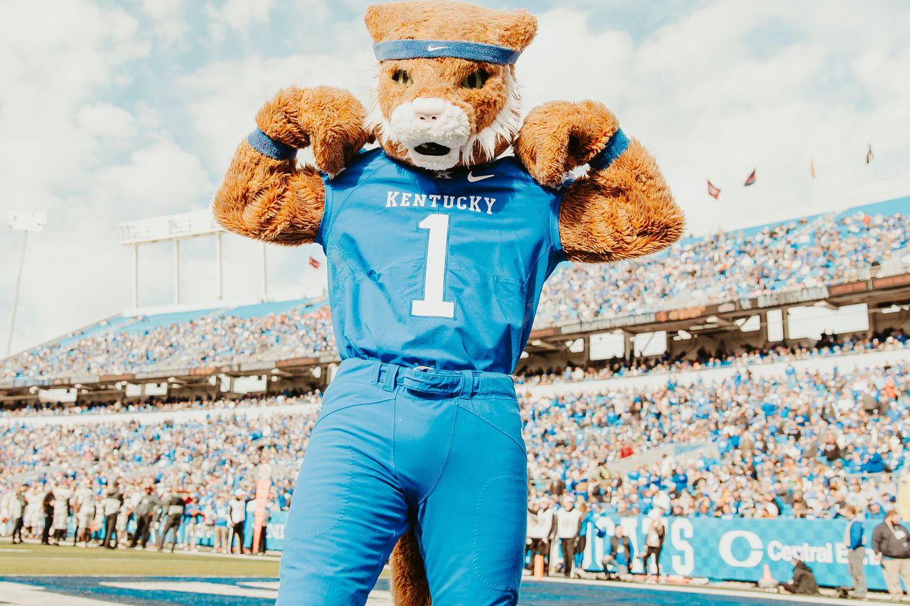 Wildcat Mascot