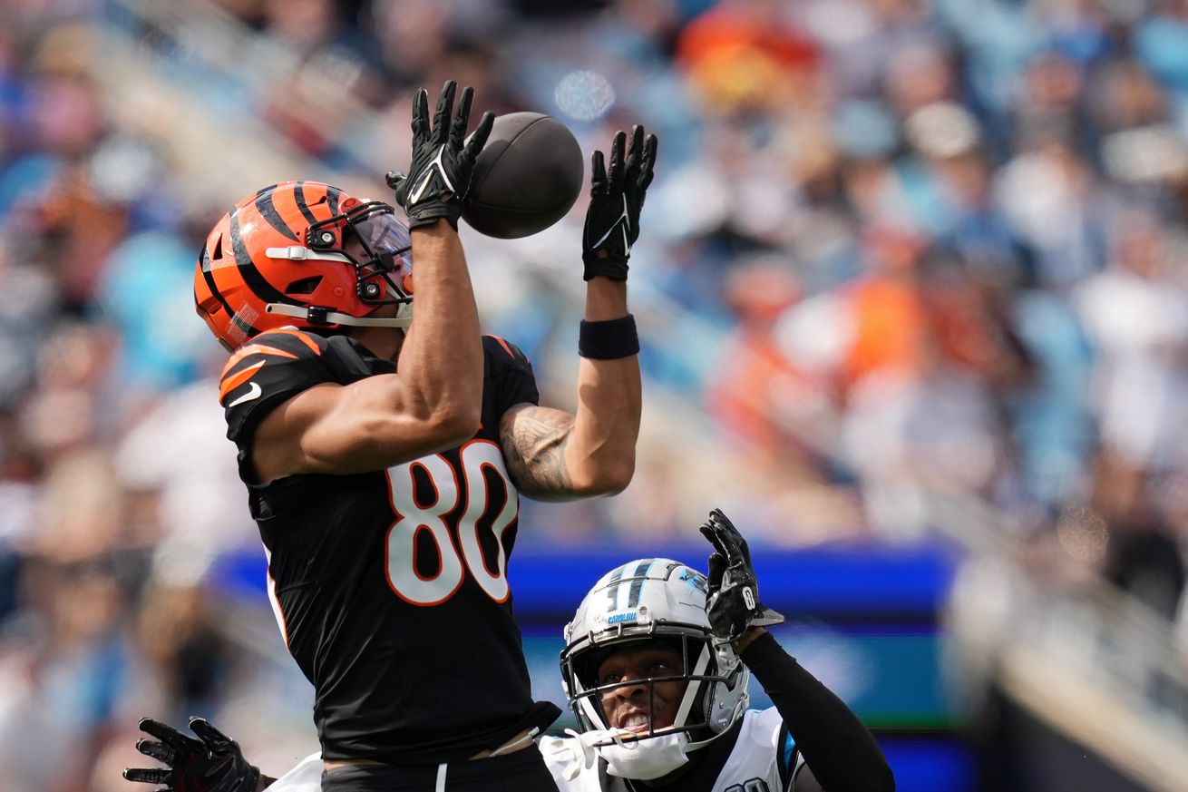 Cincinnati Bengals v Carolina Panthers