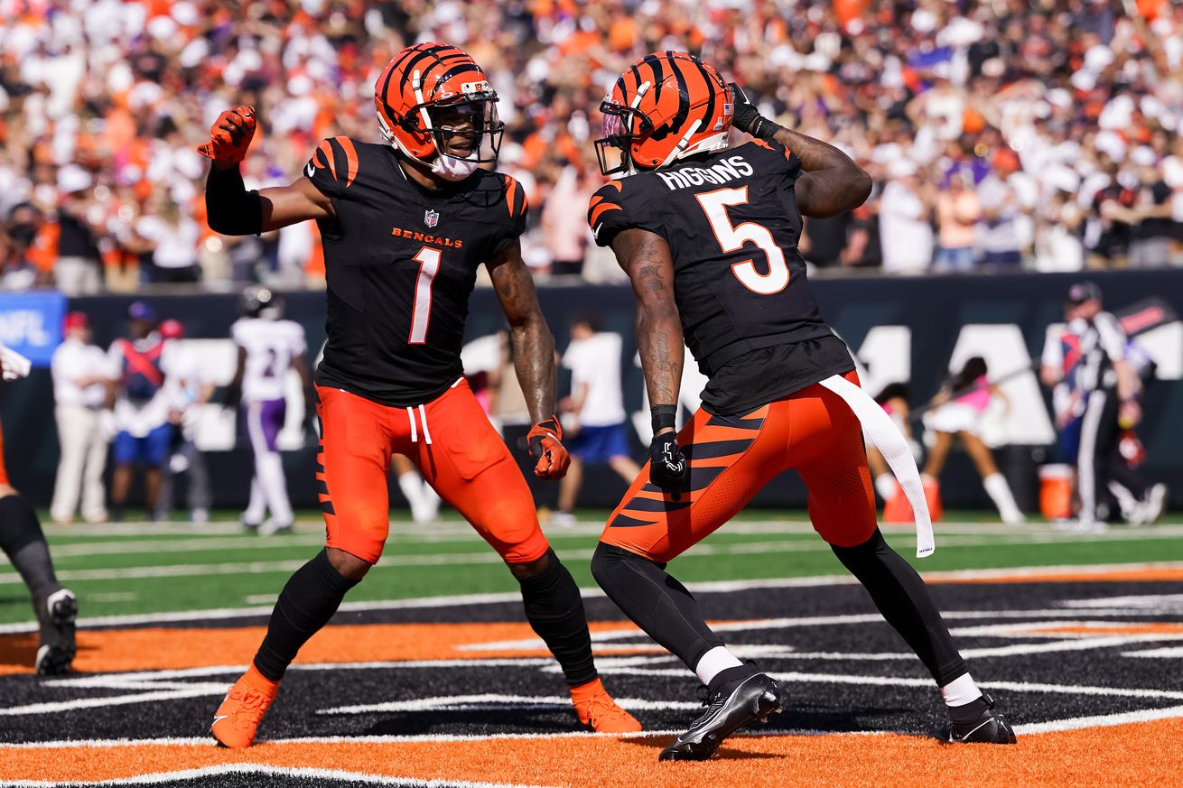 Baltimore Ravens v Cincinnati Bengals