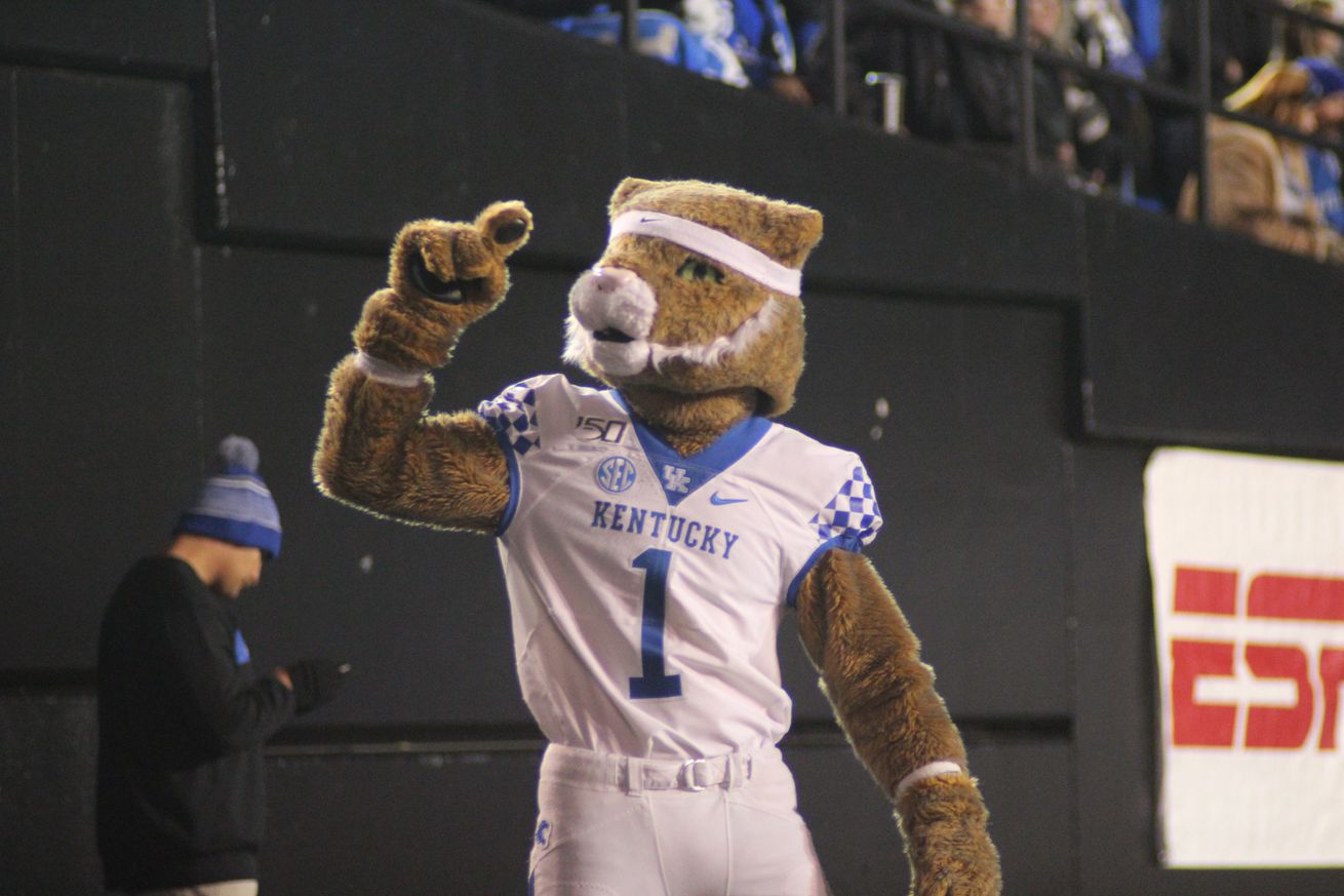 Wildcat mascot