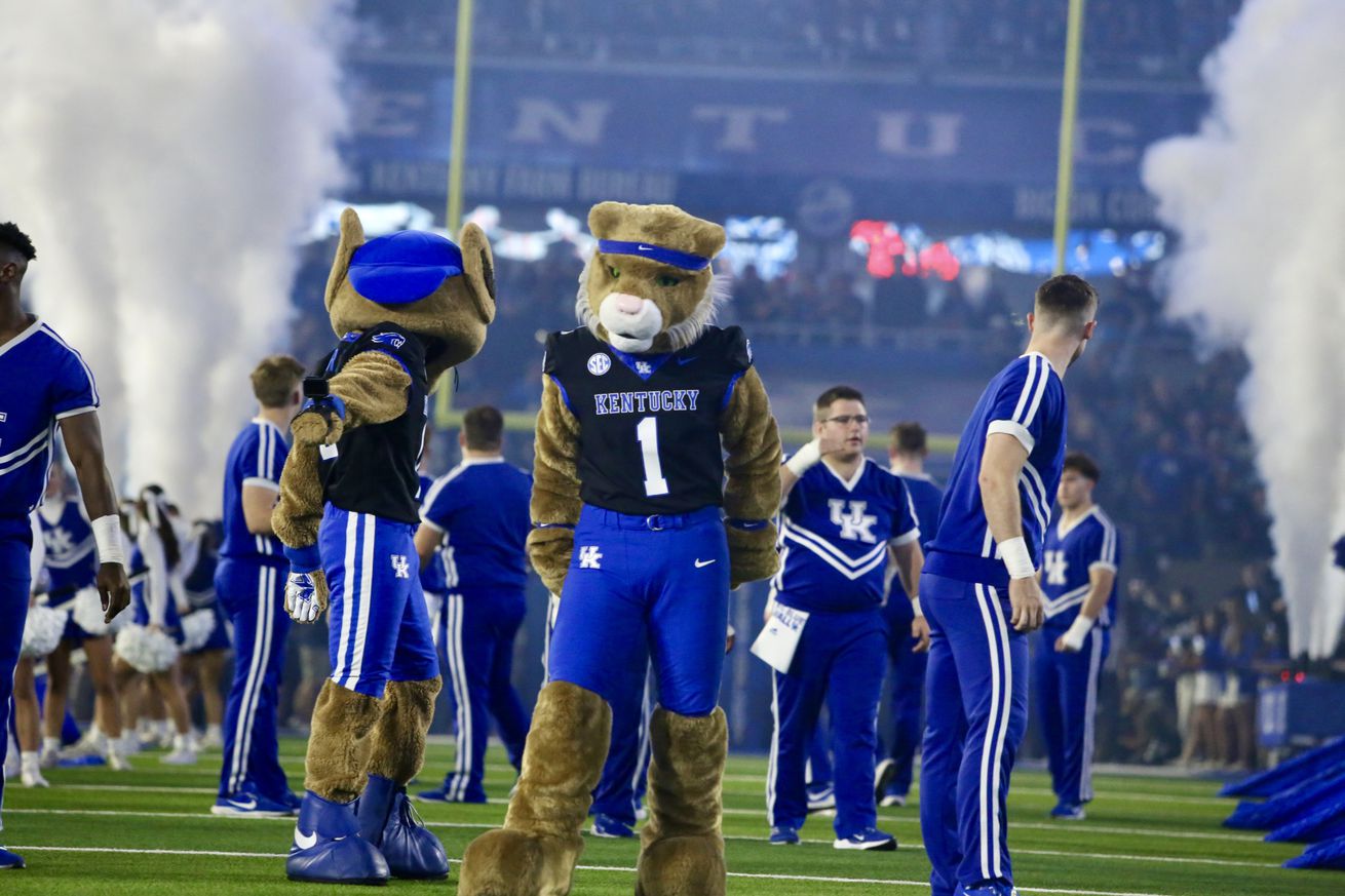 Wildcat Mascot