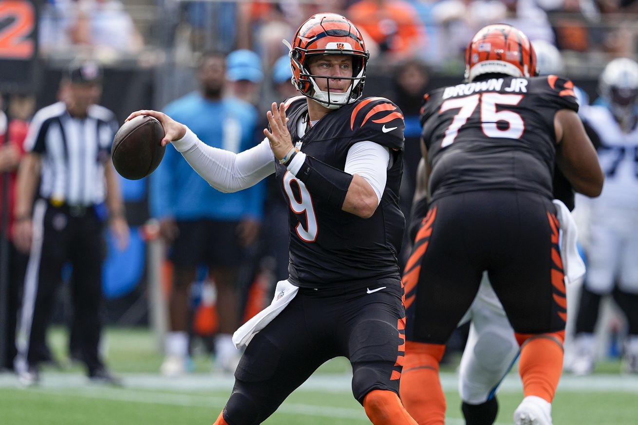 NFL: Cincinnati Bengals at Carolina Panthers