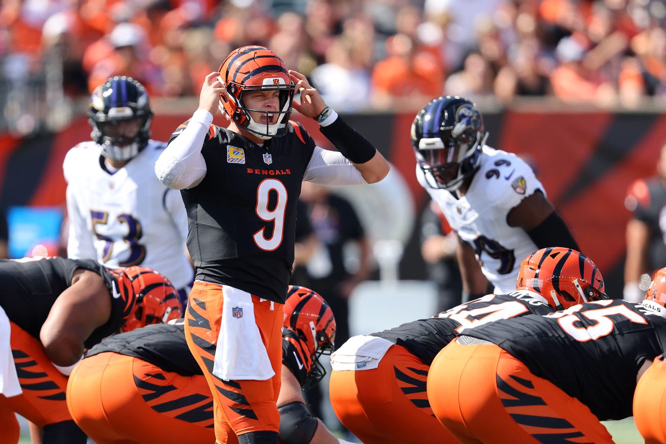 NFL: Baltimore Ravens at Cincinnati Bengals