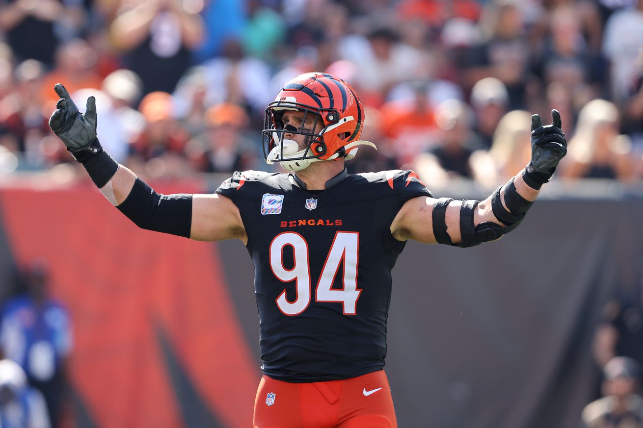 NFL: Baltimore Ravens at Cincinnati Bengals