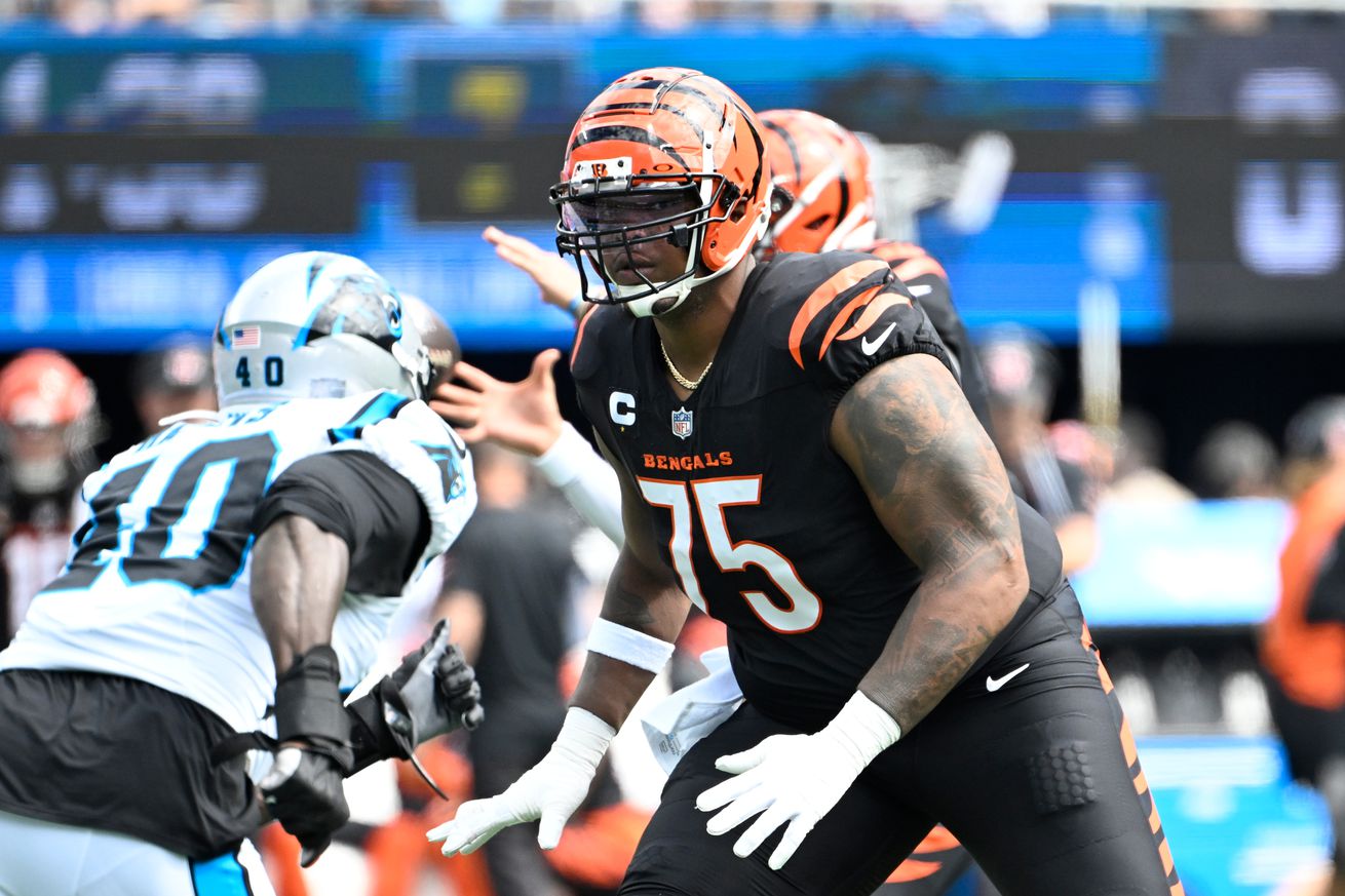 NFL: Cincinnati Bengals at Carolina Panthers