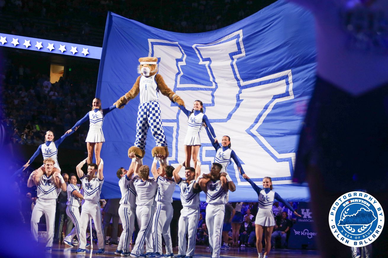 Kentucky Wildcat Mascot UK