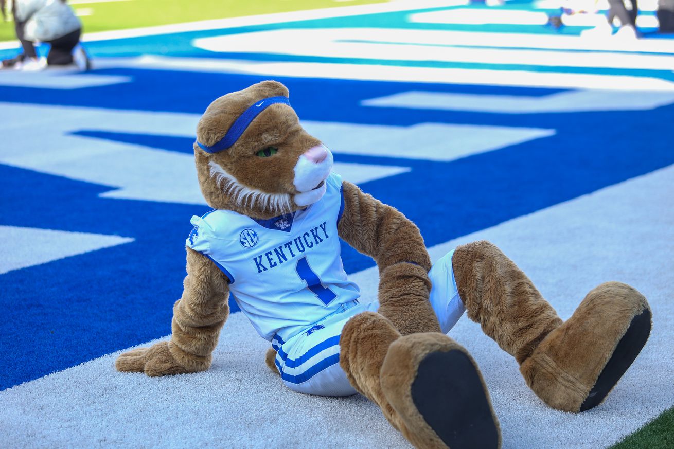 Wildcat Mascot