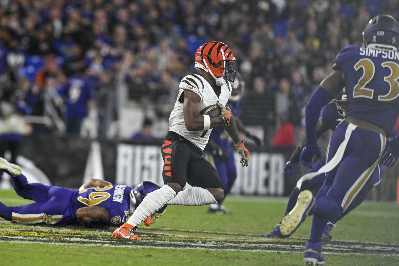 NFL: Cincinnati Bengals at Baltimore Ravens