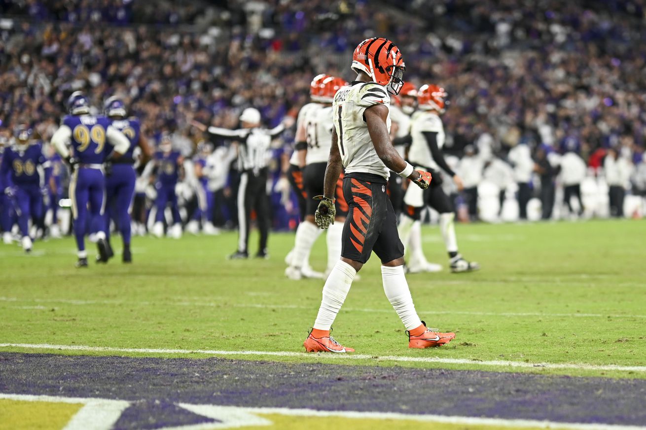 NFL: Cincinnati Bengals at Baltimore Ravens