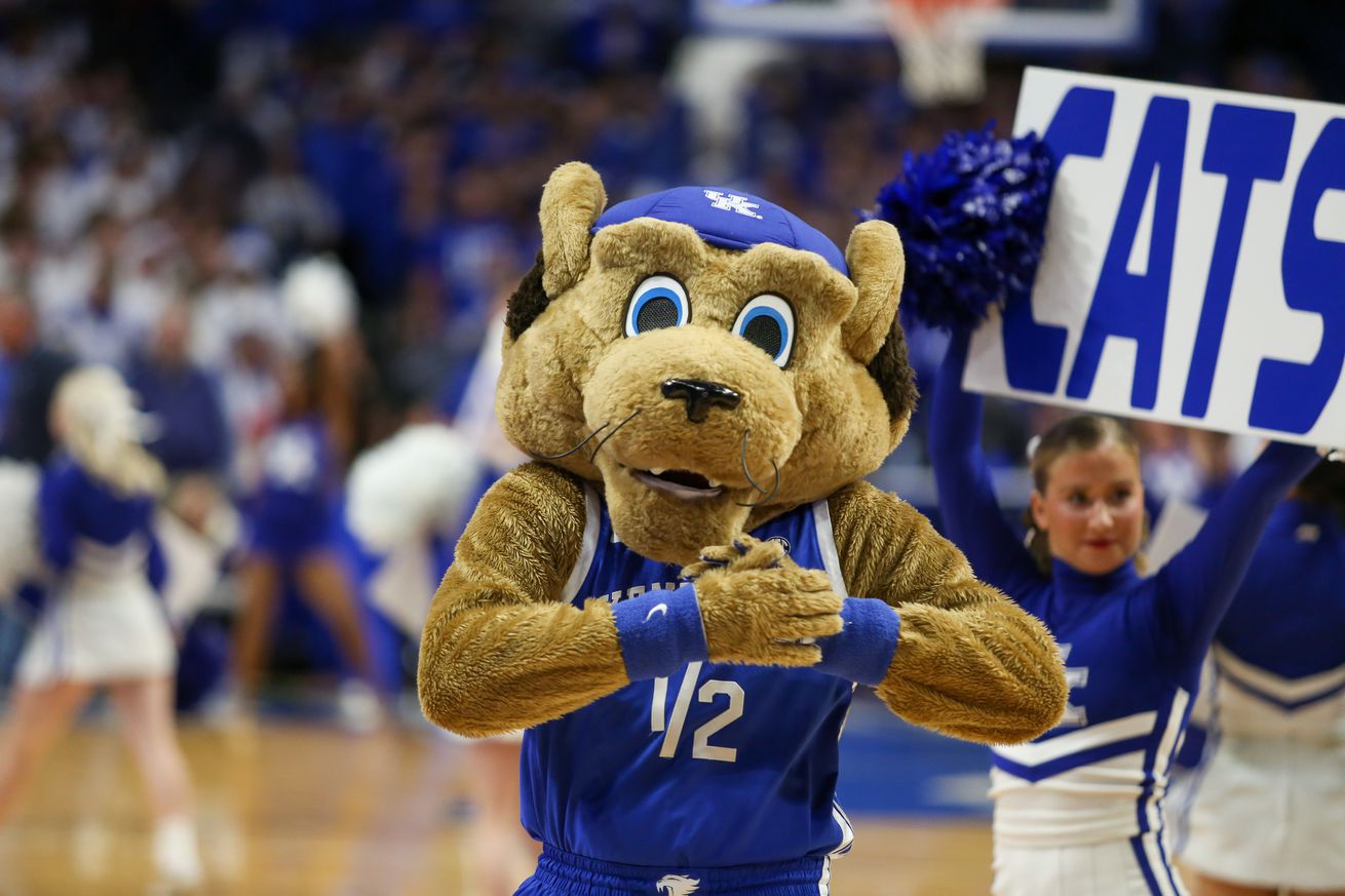 Wildcat Mascot Cheer Scratch