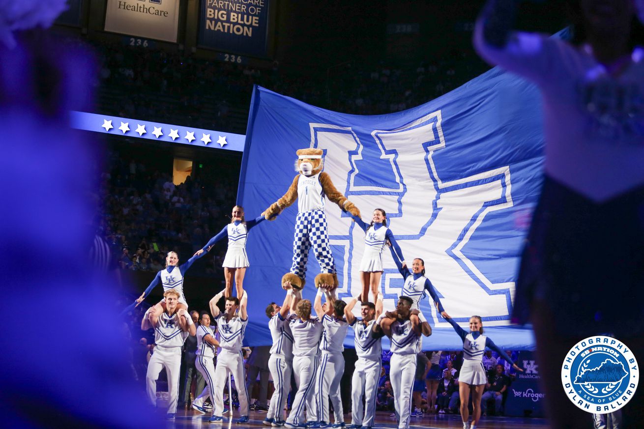 Kentucky Wildcat Mascot UK