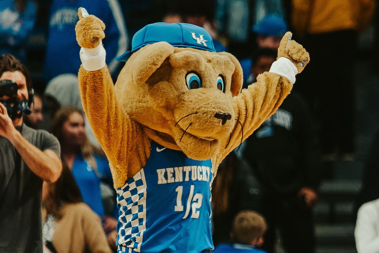 Wildcat Mascot Scratch