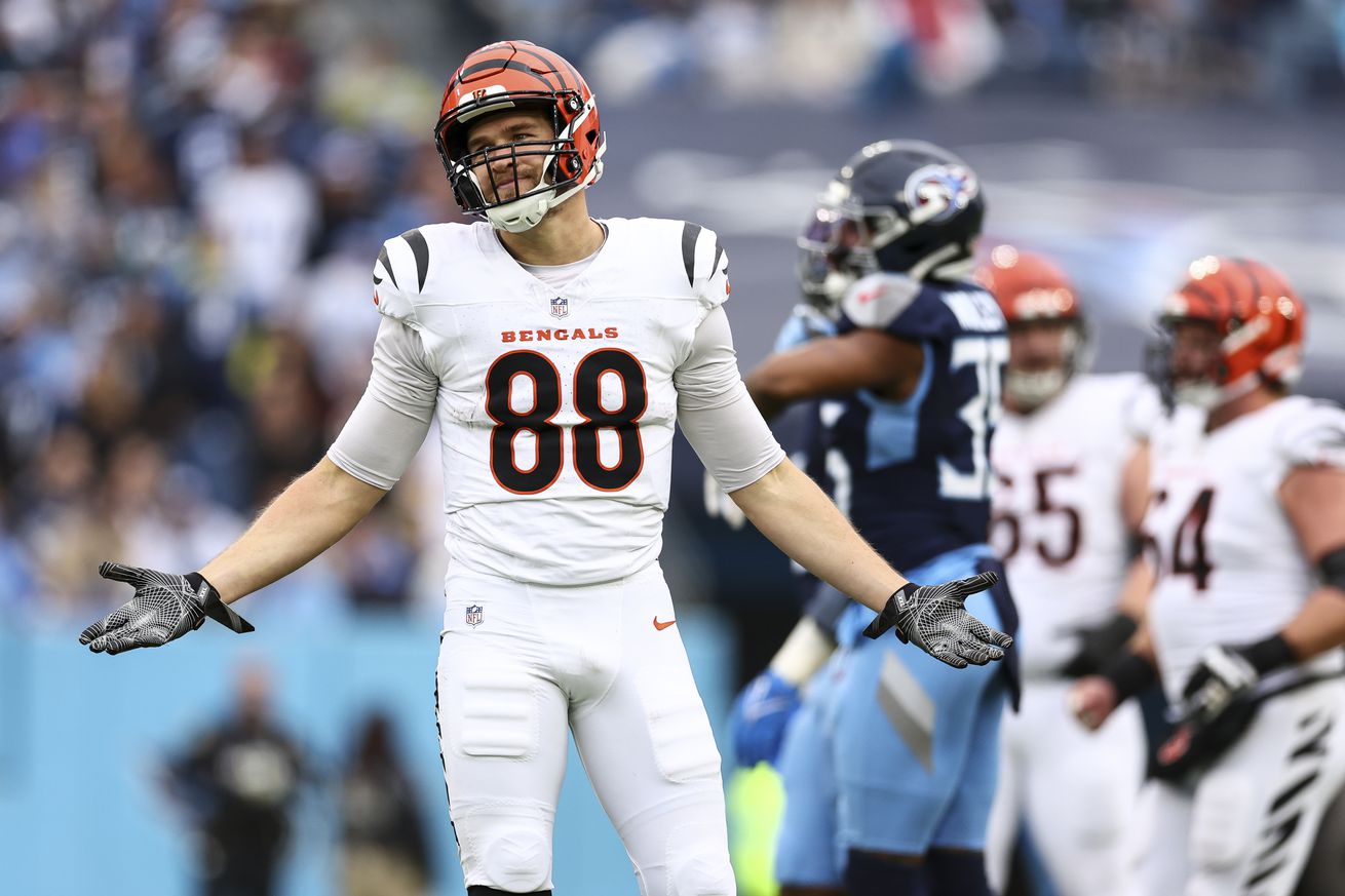 Cincinnati Bengals v Tennessee TItans